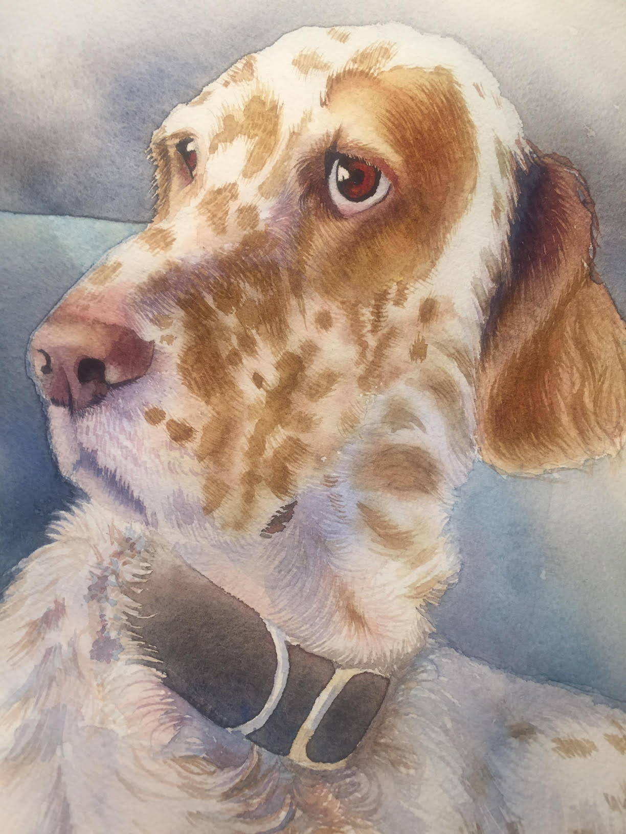 Dog Watercolor