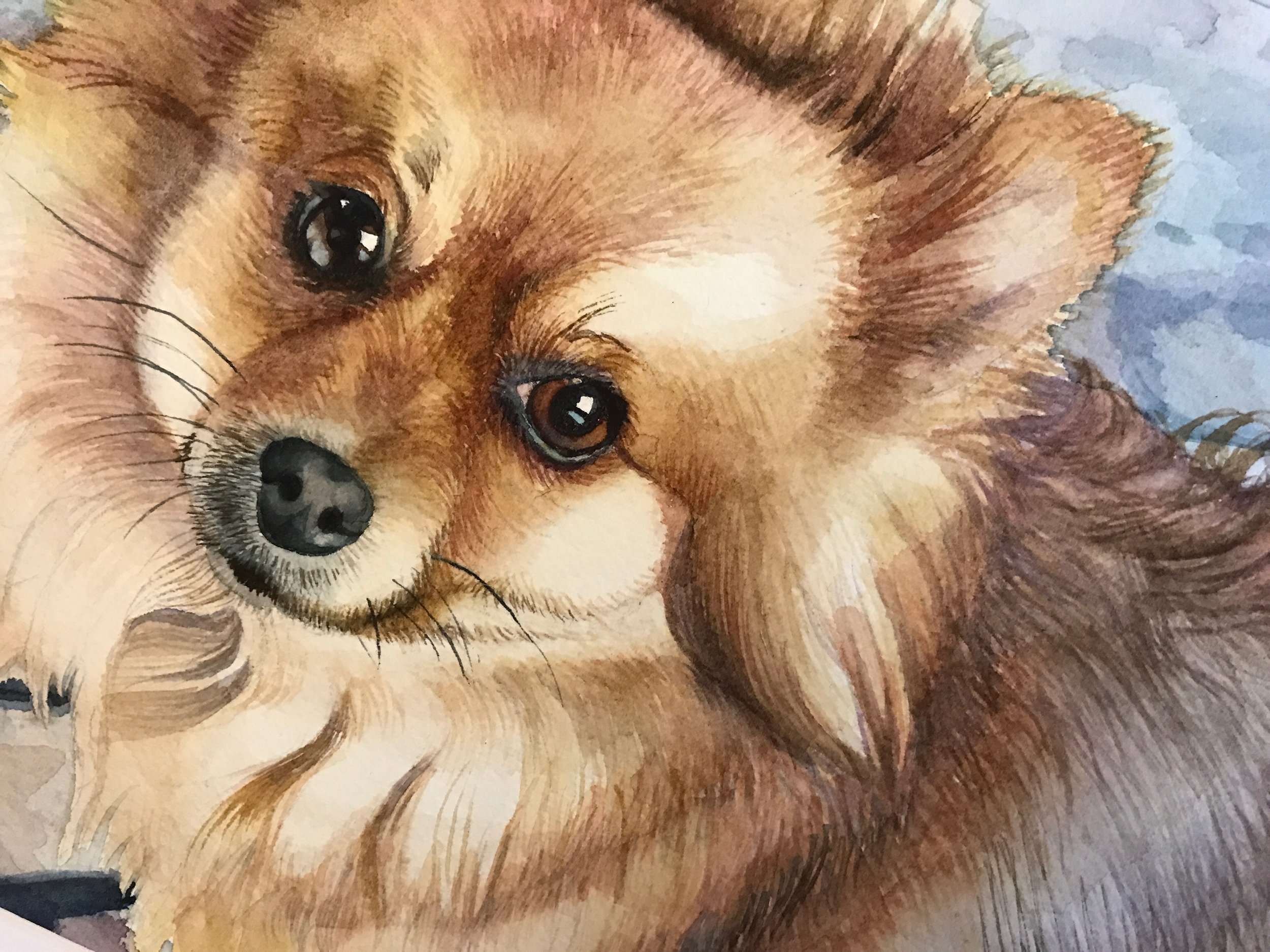 Dog Watercolor 3