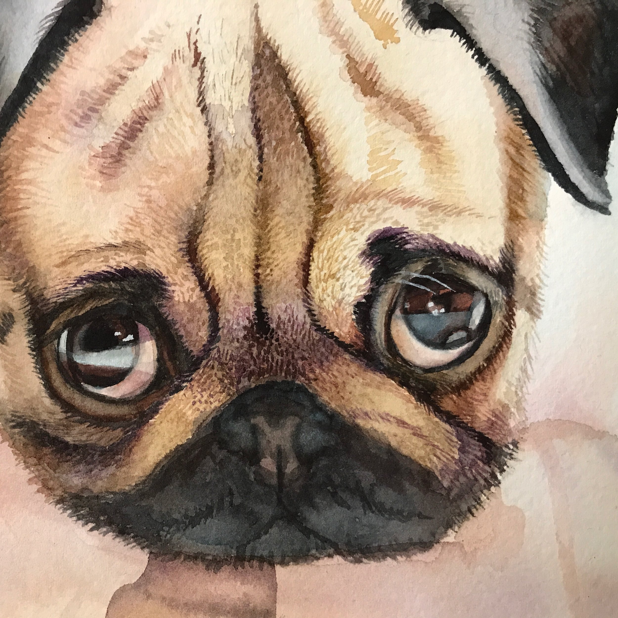 Pug Watercolor